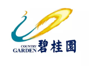 澄海碧桂园地产